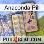 Anaconda Pill 41